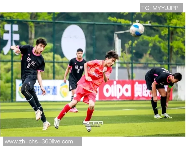 四川省足球协会推动地方足球发展助力青少年成长与职业联赛的全面提升